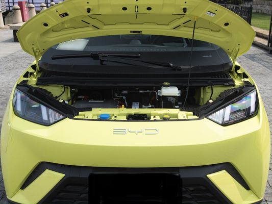 Ηλεκτρικό καύσιμο Τύπος προσαρμογή 2023 Byd Sea Gull 405 Km Σύγχρονο αυτοκίνητο ενεργειακό όχημα