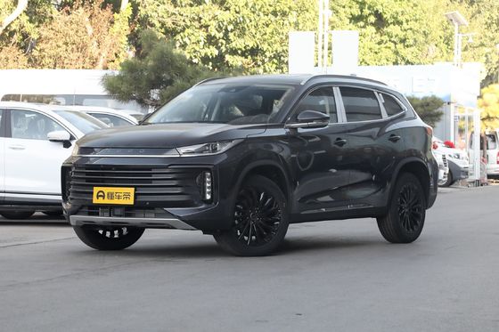 Προσαρμοσμένο αίτημα 2023 Exeed 300t 2WD Exeed με κλειστό τύπο σώματος και προσαρμογή