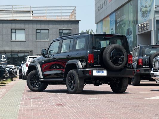 2024 μοντέλο Gwm Tank 300 2.0t Conqueror off-road καυσίμων αυτοκίνητο Προσαρμοσμένο για τραχιά εδάφια