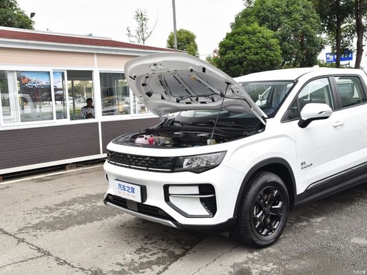 Ηλεκτρικά οχήματα Rd6 2023 410km Τσουάνγκγιε