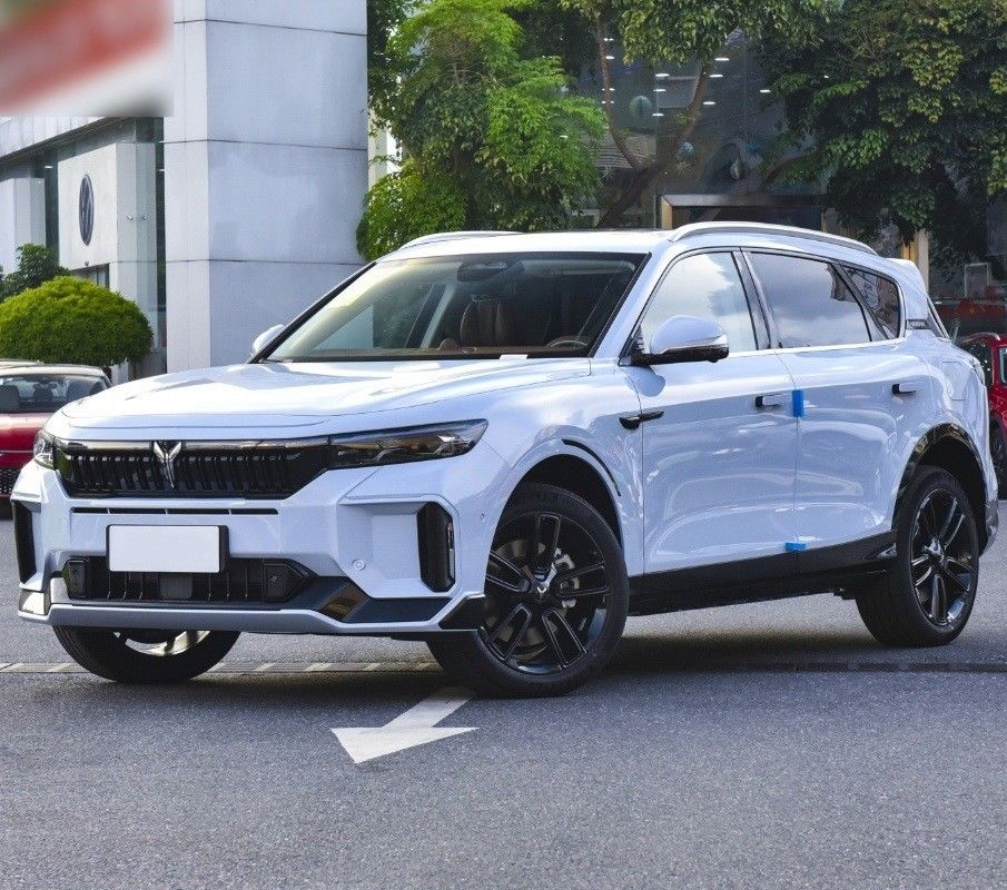 4905x1950x1645 καθίσματα 5 Ultra-Long Range Ενέργεια Ηλεκτρικό SUV Αυτοκίνητο από Voyah Free 2024